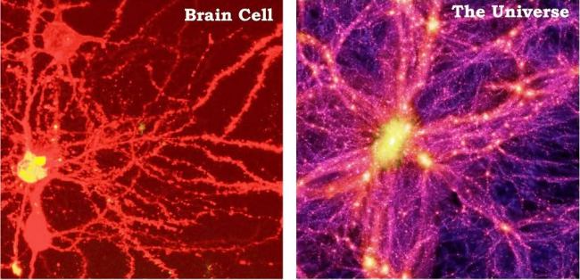 brain-universe